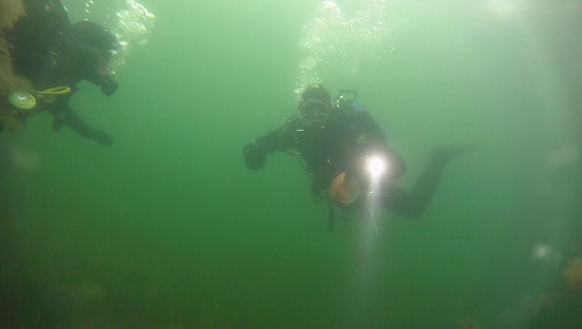 Dive on Havheksen